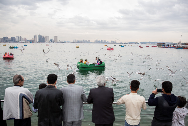 حشرات